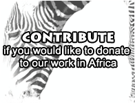 Contribute Contribute