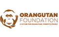 Orangutan Rescue