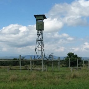 Ol Pejeta