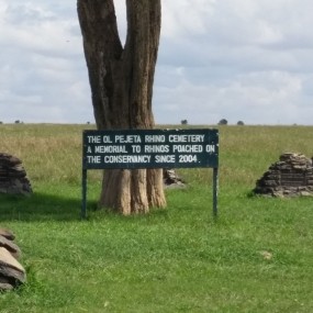 Ol Pejeta rhino cemetary