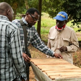 Building beehives for the fences