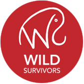 Wild Survivors