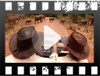 Video Video